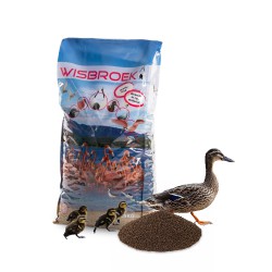 Wisbroek Micro 22