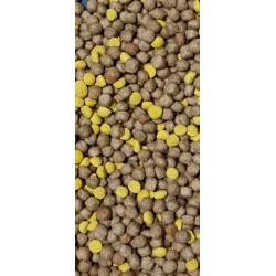 Wisbroek meelworm voeding 1kg €9,50