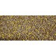 Wisbroek meelworm voeding 1kg €9,50